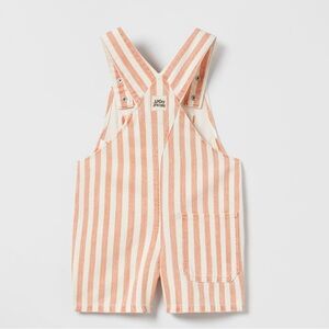 Zara Striped Denim Overall